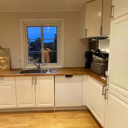 Radyrteigen In The Oslo Fjord, Bronnoya Lägenhet