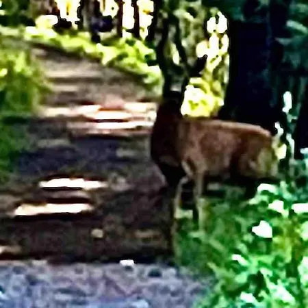 Radyrteigen In The Oslo Fjord, Bronnoya Asker