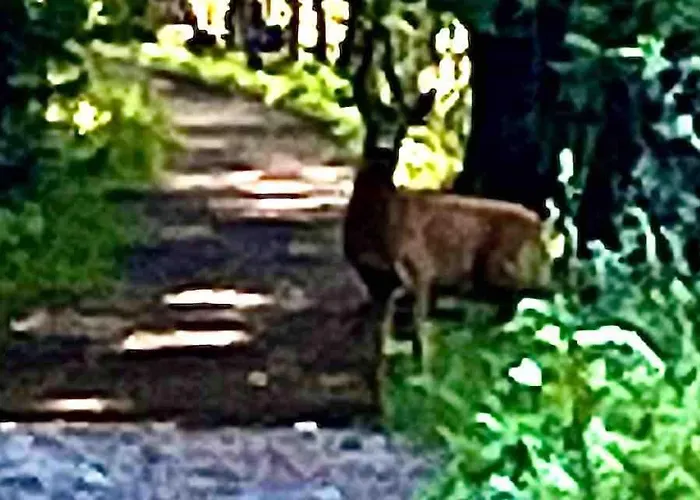Radyrteigen In The Oslo Fjord, Bronnoya Asker