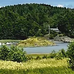 Radyrteigen In The Oslo Fjord, Bronnoya 애스커